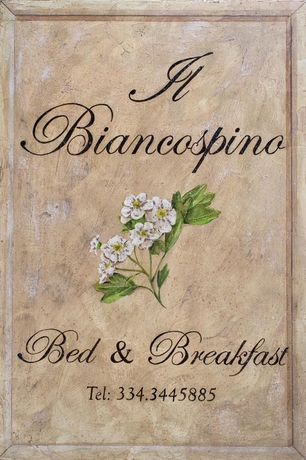 B&B Il Biancospino Абадиа Сан Салваторе Екстериор снимка